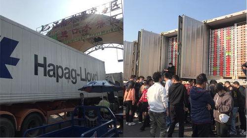 国产大型囤货现场视频下载,壮观囤货景象引热议  第2张