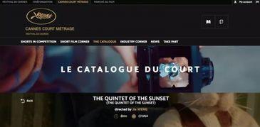 国产自拍视频影音先锋,影音先锋带你领略本土风情  第3张