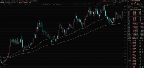 新锐国产黑马视频,新锐力量引领潮流 第2张 新锐国产黑马视频,新锐力量引领潮流 第2张